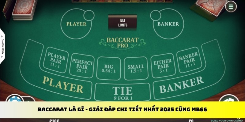 vin777 club gà chọi cu cần