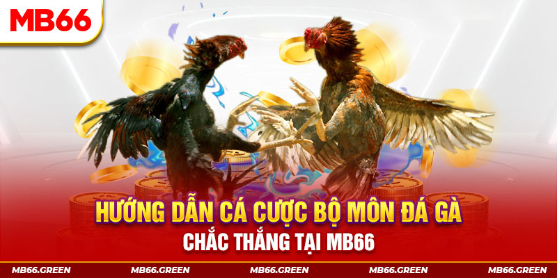 vin777 club bắn cá nổ hũ
