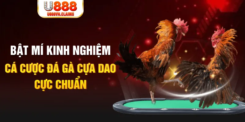 vin777 club tỷ lệ cá cược châu á là gì