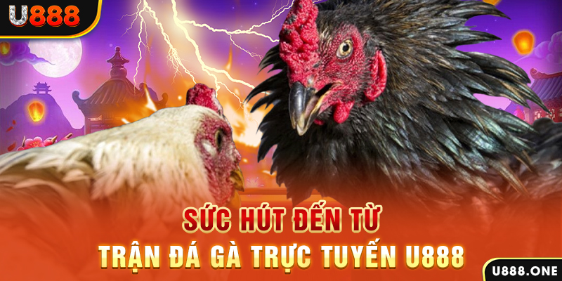 vin777 club nổ hũ b29 là gì