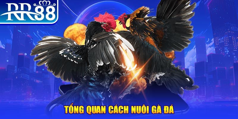 vin777 club VA Điện Tử