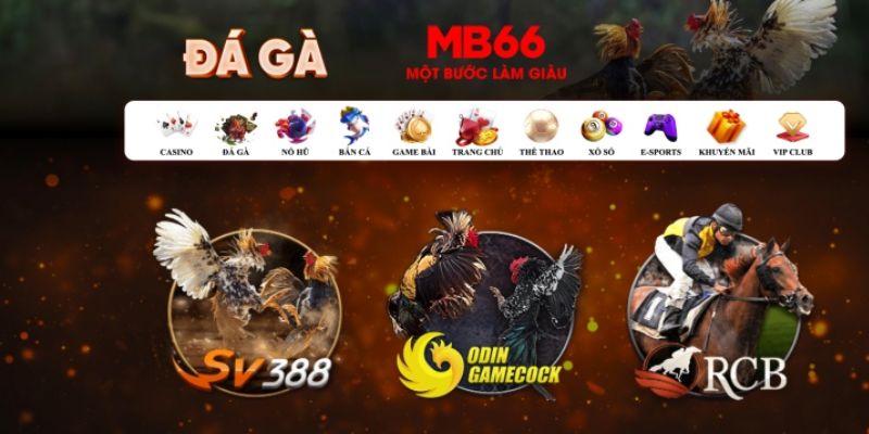 vin777 club đăng nhập poker số 1