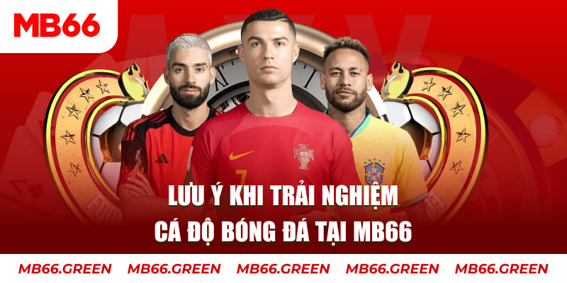 vin777 club cá cược là gì