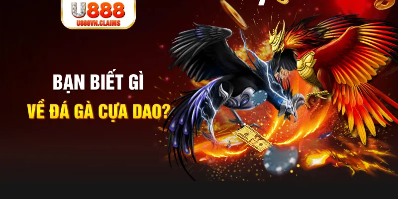 vin777 club nổ hủ là gì