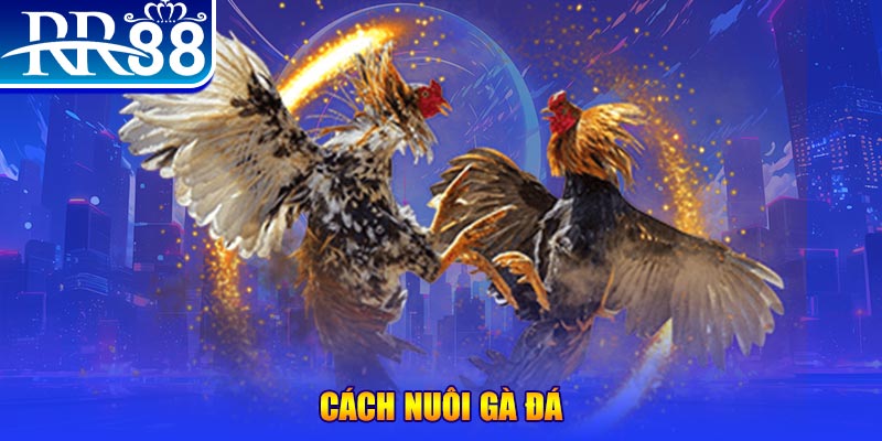 vin777 club xổ số an giang