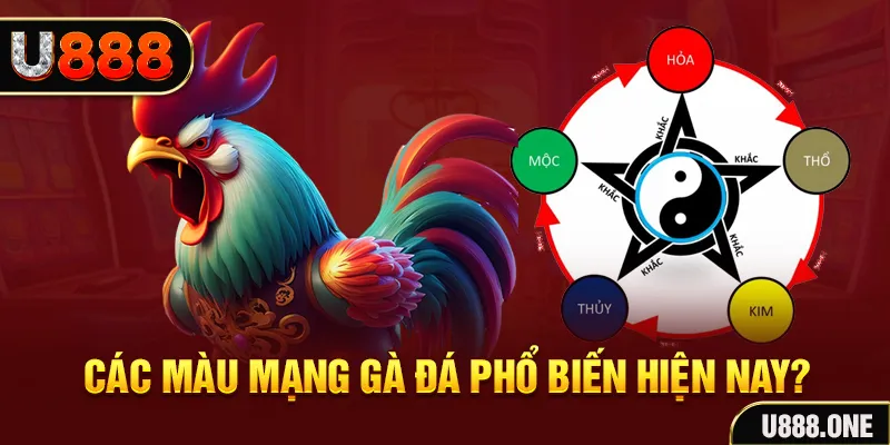vin777 club trực tiếp đá gà 88