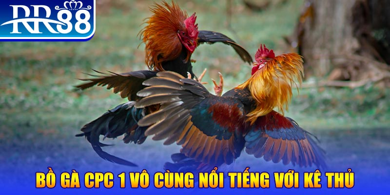 vin777 club game máy bay nổ hũ