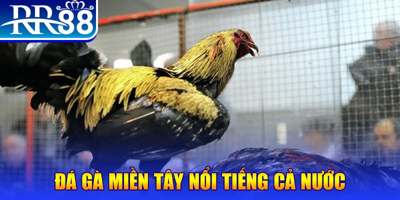 vin777 club JILI Game Bài 3d