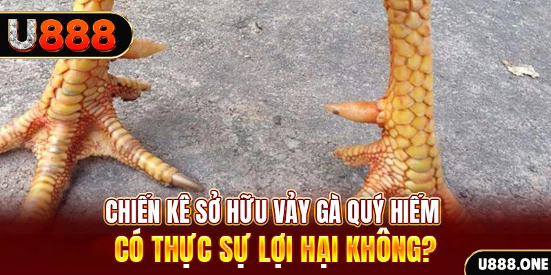 vin777 club nohu .mx nổ hủ là gì