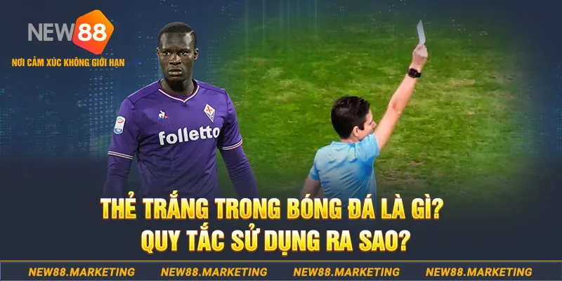 vin777 club gà chọi mộc hóa