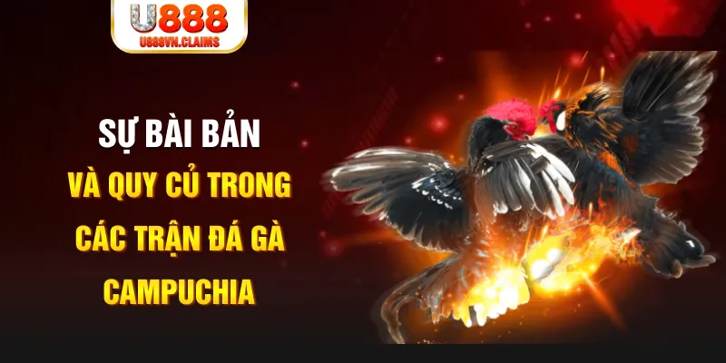 vin777 club YGR Điện Tử