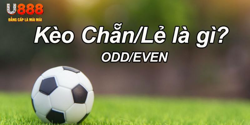 vin777 club đăng nhập poker hôm nay