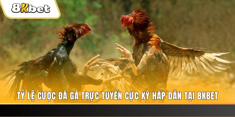 vin777 club đăng nhập phỏm trực tiếp
