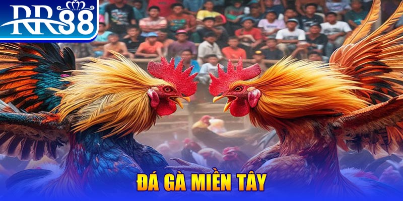 vin777 club đăng nhập nổ hũ