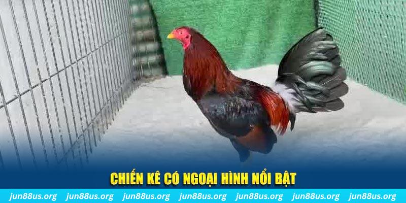 vin777 club chạy quảng cáo cho game bài bị phạt như thế nào