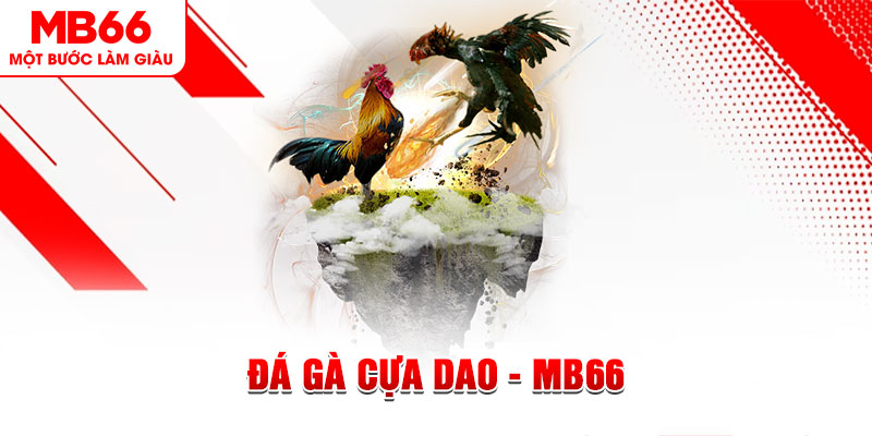 vin777 club đá gà sv388 gold
